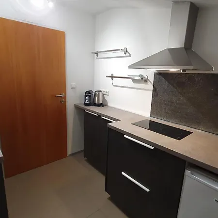 Roulette Apartments Und Zimmer Kirchberg Kirchberg in Tirol Room photo