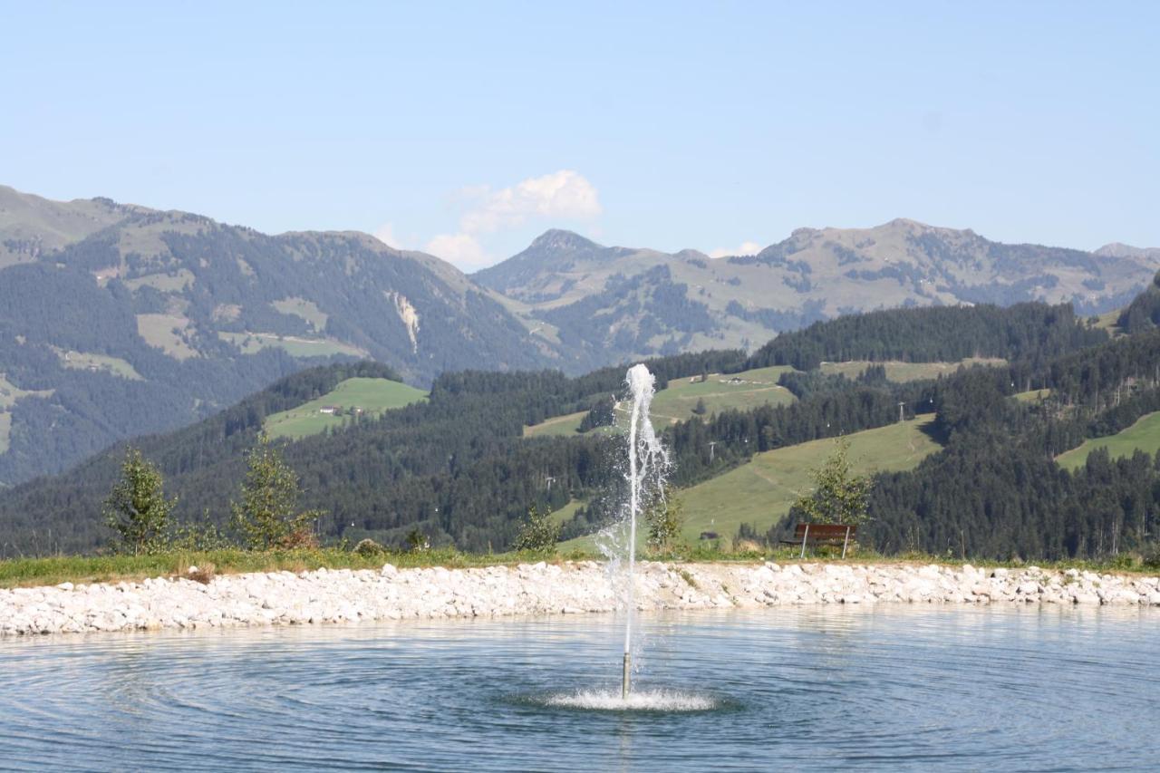 Roulette Und Kirchberg * Kirchberg in Tirol